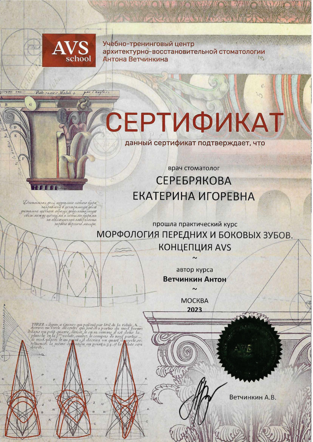 Сертификат стоматолога Серебряковой Екатерины: Морфология передних и боковых зубов, концепция AVS