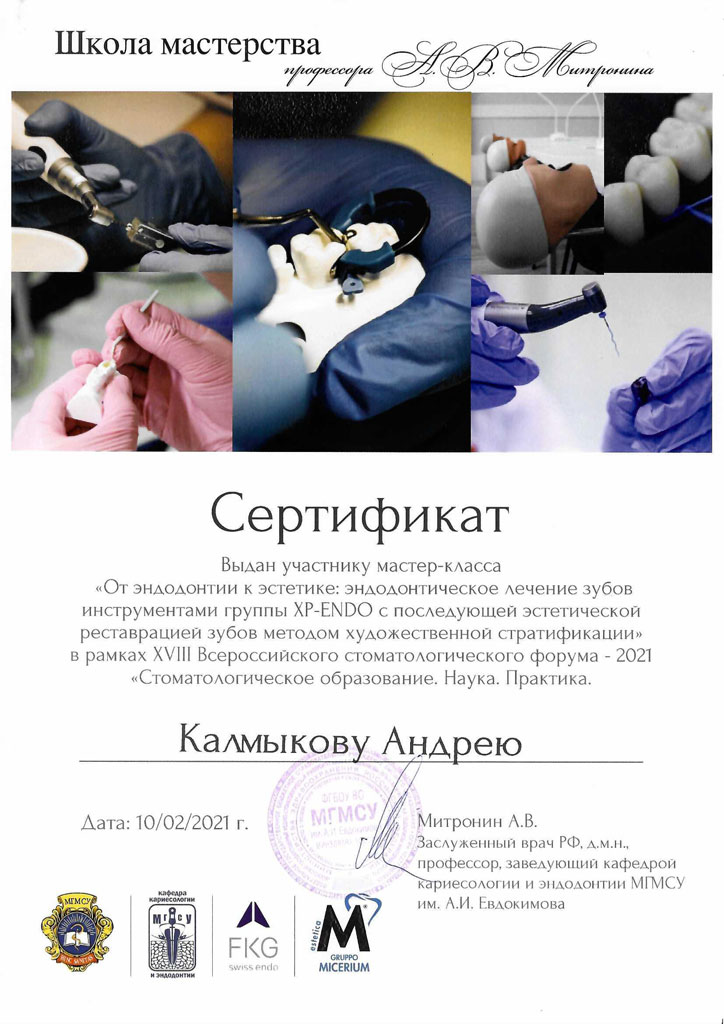 Сертификат: Эндодонтическое лечение зубов инструментами группы XP-ENDO с последующей эстетической реставрацией